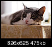 Kliknij obrazek, aby uzyskać większą wersję

Nazwa:	PEN50865.JPG
Wyświetleń:	41
Rozmiar:	475,5 KB
ID:	69069