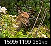 Kliknij obrazek, aby uzyskać większą wersję

Nazwa:	R8161276.jpg
Wyświetleń:	205
Rozmiar:	352,7 KB
ID:	69409