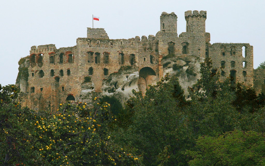 Nazwa:  P9036338.jpg
Wyświetleń: 148
Rozmiar:  212,6 KB