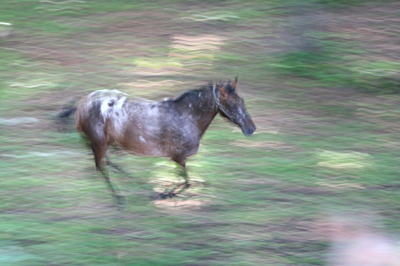 Nazwa:  jedna_paskuda.jpg
Wyświetleń: 189
Rozmiar:  186,9 KB