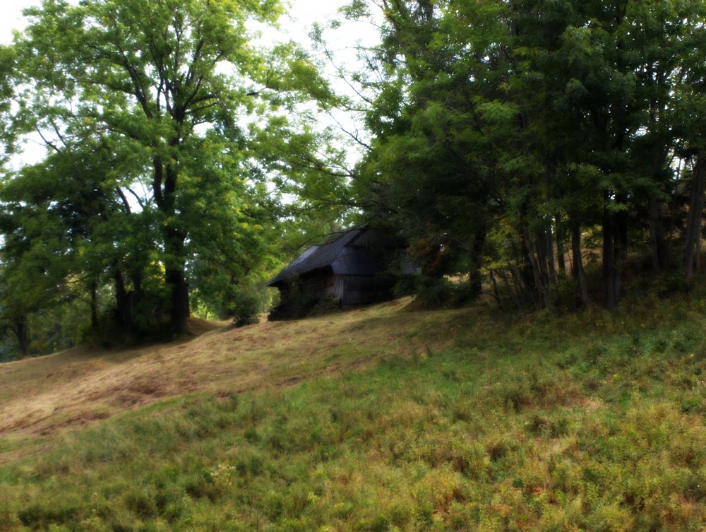 Nazwa:  P9152522_chata.jpg
Wyświetleń: 113
Rozmiar:  185,4 KB