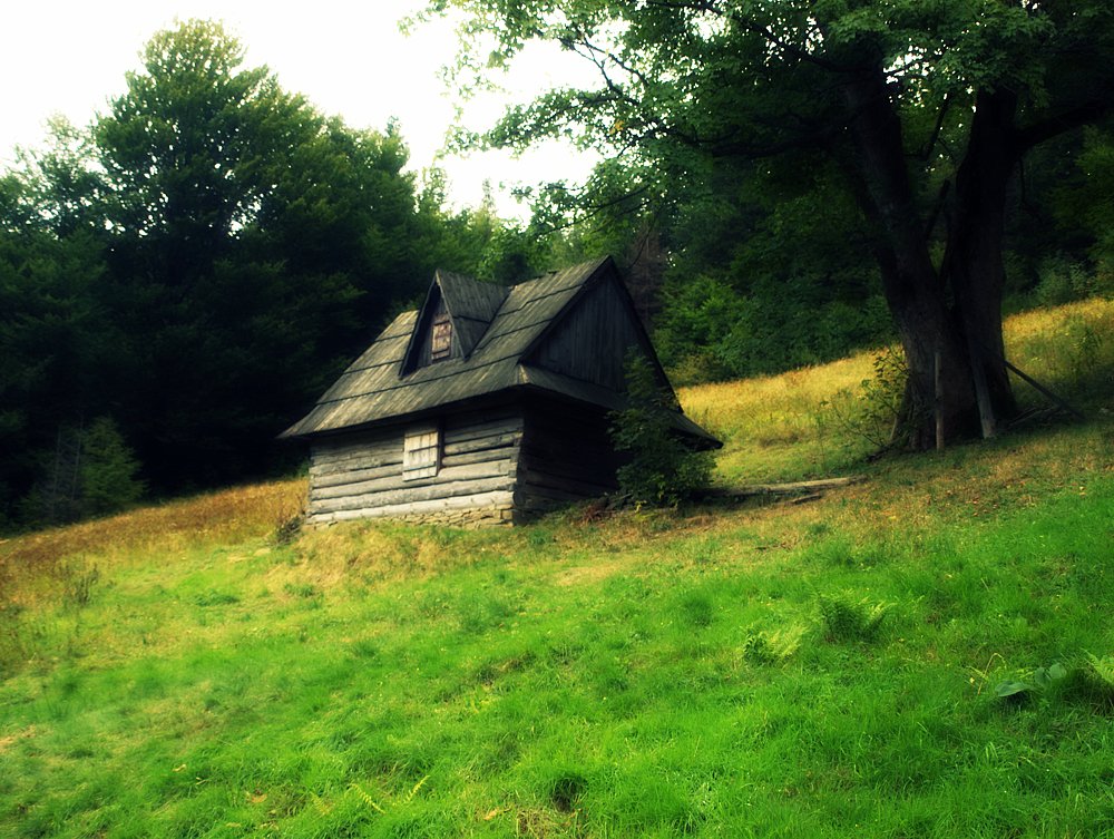 Nazwa:  P9152575_chata.jpg
Wyświetleń: 111
Rozmiar:  202,2 KB