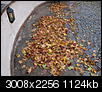 Kliknij obrazek, aby uzyskać większą wersję

Nazwa:	Konkrus 1 P9283312.jpg
Wyświetleń:	108
Rozmiar:	1,10 MB
ID:	71077