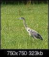 Kliknij obrazek, aby uzyskać większą wersję

Nazwa:	1119.jpg
Wyświetleń:	59
Rozmiar:	323,4 KB
ID:	71282