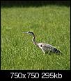 Kliknij obrazek, aby uzyskać większą wersję

Nazwa:	1122.jpg
Wyświetleń:	60
Rozmiar:	295,2 KB
ID:	71285