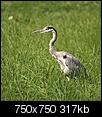 Kliknij obrazek, aby uzyskać większą wersję

Nazwa:	1123.jpg
Wyświetleń:	62
Rozmiar:	317,1 KB
ID:	71286