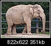 Kliknij obrazek, aby uzyskać większą wersję

Nazwa:	ZOO_6.jpg
Wyświetleń:	67
Rozmiar:	351,2 KB
ID:	71336