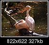 Kliknij obrazek, aby uzyskać większą wersję

Nazwa:	ZOO_2.jpg
Wyświetleń:	65
Rozmiar:	326,8 KB
ID:	71340