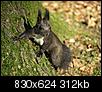 Kliknij obrazek, aby uzyskać większą wersję

Nazwa:	151441pb141959.jpg
Wyświetleń:	37
Rozmiar:	312,4 KB
ID:	71824