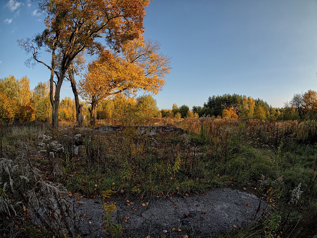 Nazwa:  PA173237_38_39_40_41_42_43.jpg
Wyświetleń: 157
Rozmiar:  825,0 KB