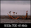 Kliknij obrazek, aby uzyskać większą wersję

Nazwa:	P8299585.jpg
Wyświetleń:	641
Rozmiar:	413,7 KB
ID:	72011