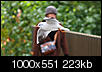 Kliknij obrazek, aby uzyskać większą wersję

Nazwa:	mewa_1k.jpg
Wyświetleń:	151
Rozmiar:	223,4 KB
ID:	72474