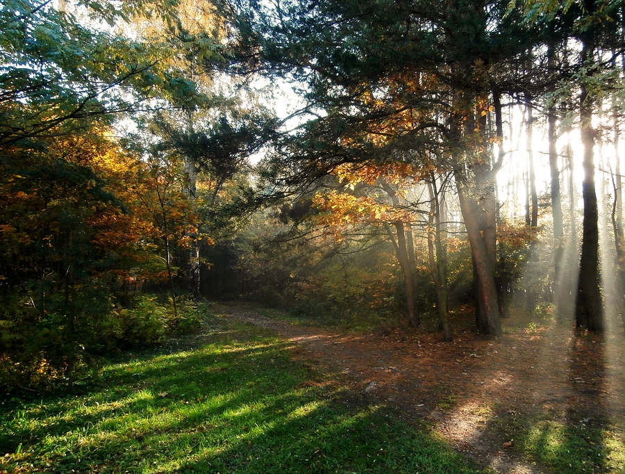 Nazwa:  _PA215312.jpg
Wyświetleń: 49
Rozmiar:  423,6 KB