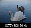 Kliknij obrazek, aby uzyskać większą wersję

Nazwa:	P1012904.jpg
Wyświetleń:	64
Rozmiar:	90,8 KB
ID:	74096