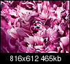 Kliknij obrazek, aby uzyskać większą wersję

Nazwa:	P5265152.jpg
Wyświetleń:	38
Rozmiar:	464,8 KB
ID:	74288