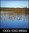 Kliknij obrazek, aby uzyskać większą wersję

Nazwa:	Szu20kolorA.jpg
Wyświetleń:	104
Rozmiar:	986,0 KB
ID:	76323