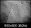 Kliknij obrazek, aby uzyskać większą wersję

Nazwa:	b.jpg
Wyświetleń:	31
Rozmiar:	361,6 KB
ID:	76403