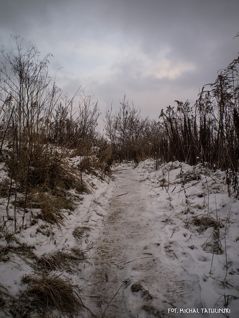 Nazwa:  PC113535.jpg
Wyświetleń: 216
Rozmiar:  453,2 KB