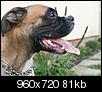 Kliknij obrazek, aby uzyskać większą wersję

Nazwa:	548177_343569275733669_631142938_n.jpg
Wyświetleń:	57
Rozmiar:	80,6 KB
ID:	77237