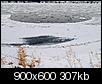 Kliknij obrazek, aby uzyskać większą wersję

Nazwa:	P1277978.jpg
Wyświetleń:	154
Rozmiar:	306,5 KB
ID:	80037