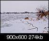 Kliknij obrazek, aby uzyskać większą wersję

Nazwa:	P1277980.jpg
Wyświetleń:	79
Rozmiar:	274,3 KB
ID:	80071