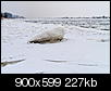 Kliknij obrazek, aby uzyskać większą wersję

Nazwa:	P1277953.jpg
Wyświetleń:	83
Rozmiar:	227,0 KB
ID:	80073