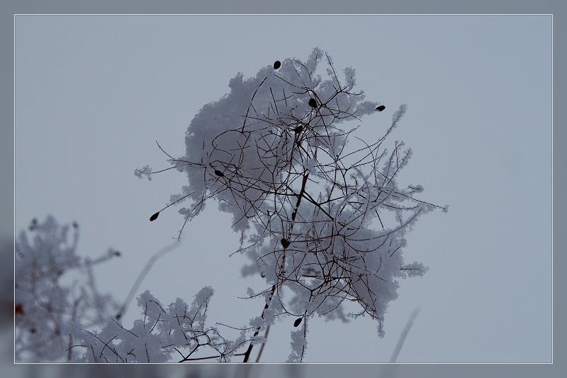 Nazwa:  P1270387-Resizer-800Q100MF208222.jpg
Wyświetleń: 208
Rozmiar:  278,5 KB