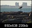 Kliknij obrazek, aby uzyskać większą wersję

Nazwa:	P7090612.jpg
Wyświetleń:	57
Rozmiar:	235,5 KB
ID:	80245