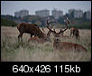 Kliknij obrazek, aby uzyskać większą wersję

Nazwa:	DSC4451.jpg
Wyświetleń:	92
Rozmiar:	114,9 KB
ID:	80729