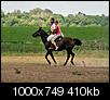 Kliknij obrazek, aby uzyskać większą wersję

Nazwa:	a7.jpg
Wyświetleń:	196
Rozmiar:	409,5 KB
ID:	80815