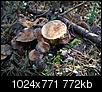 Kliknij obrazek, aby uzyskać większą wersję

Nazwa:	PA064731.jpg
Wyświetleń:	53
Rozmiar:	772,1 KB
ID:	81161