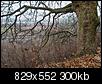 Kliknij obrazek, aby uzyskać większą wersję

Nazwa:	aberacja.jpg
Wyświetleń:	1065
Rozmiar:	300,2 KB
ID:	81299