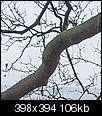Kliknij obrazek, aby uzyskać większą wersję

Nazwa:	aberacja_centrum.jpg
Wyświetleń:	120
Rozmiar:	106,2 KB
ID:	81300