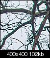Kliknij obrazek, aby uzyskać większą wersję

Nazwa:	aberacja_LG.jpg
Wyświetleń:	124
Rozmiar:	102,3 KB
ID:	81301