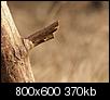 Kliknij obrazek, aby uzyskać większą wersję

Nazwa:	_3033573.jpg
Wyświetleń:	296
Rozmiar:	369,6 KB
ID:	83052
