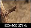 Kliknij obrazek, aby uzyskać większą wersję

Nazwa:	_3033570.jpg
Wyświetleń:	304
Rozmiar:	371,5 KB
ID:	83053