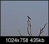 Kliknij obrazek, aby uzyskać większą wersję

Nazwa:	wrona.jpg
Wyświetleń:	456
Rozmiar:	435,0 KB
ID:	83219