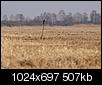 Kliknij obrazek, aby uzyskać większą wersję

Nazwa:	myszak_1.jpg
Wyświetleń:	390
Rozmiar:	507,5 KB
ID:	83221