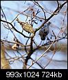 Kliknij obrazek, aby uzyskać większą wersję

Nazwa:	czyz_2.jpg
Wyświetleń:	396
Rozmiar:	724,3 KB
ID:	83233
