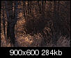 Kliknij obrazek, aby uzyskać większą wersję

Nazwa:	OM13-03-5-211-we.jpg
Wyświetleń:	80
Rozmiar:	283,7 KB
ID:	83809