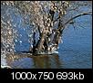 Kliknij obrazek, aby uzyskać większą wersję

Nazwa:	o3.jpg
Wyświetleń:	978
Rozmiar:	692,7 KB
ID:	84491