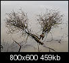 Kliknij obrazek, aby uzyskać większą wersję

Nazwa:	P4120082-1.jpg
Wyświetleń:	125
Rozmiar:	458,5 KB
ID:	85676