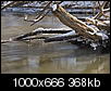 Kliknij obrazek, aby uzyskać większą wersję

Nazwa:	wierzyca13.jpg
Wyświetleń:	1760
Rozmiar:	368,2 KB
ID:	85759