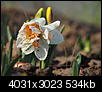 Kliknij obrazek, aby uzyskać większą wersję

Nazwa:	P4212698.jpg
Wyświetleń:	85
Rozmiar:	534,0 KB
ID:	86449