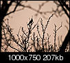 Kliknij obrazek, aby uzyskać większą wersję

Nazwa:	6.jpg
Wyświetleń:	924
Rozmiar:	206,6 KB
ID:	86470