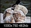 Kliknij obrazek, aby uzyskać większą wersję

Nazwa:	o3.jpg
Wyświetleń:	442
Rozmiar:	482,0 KB
ID:	86773