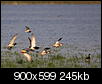 Kliknij obrazek, aby uzyskać większą wersję

Nazwa:	_MG_6372_1.jpg
Wyświetleń:	275
Rozmiar:	245,4 KB
ID:	86976