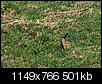 Kliknij obrazek, aby uzyskać większą wersję

Nazwa:	P5016648ol.jpg
Wyświetleń:	146
Rozmiar:	500,6 KB
ID:	87280
