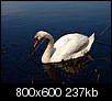 Kliknij obrazek, aby uzyskać większą wersję

Nazwa:	P4215577.jpg
Wyświetleń:	45
Rozmiar:	237,3 KB
ID:	87306
