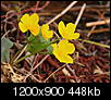 Kliknij obrazek, aby uzyskać większą wersję

Nazwa:	P5010393030513.jpg
Wyświetleń:	79
Rozmiar:	448,1 KB
ID:	87449